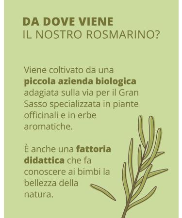 The Soapbox La Saponaria Organic rosemary hydrosol 100 ml - Buy Online on GoSupps.com