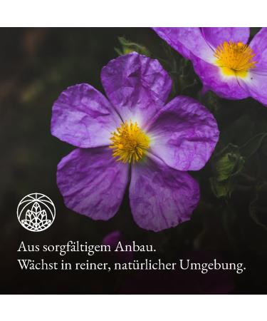 Cistus Tea Monte Nativo 300g - Zistrose Herbal Tea Cistus Incanus Bath Tea - Additive-Free 1 Pack - Buy Online on GoSupps.com