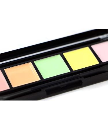 CITY COLOR Correct & Perfect Palette - Long Lasting & Paraben Free - F0050 - Buy Online on GoSupps.com