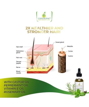 Organic Rosemary Hair Growth Oil - 2.0 Fl Oz - Natural Hair Treatment - Buy Online on GoSupps.com