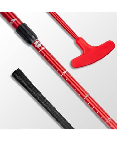 THIODOON 2-Pack Two-Way Kids Golf Putter Set for All Ages - Adjustable Length, Red+Blue Putters with 6 Tees - Buy Online on GoSupps.com