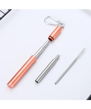 304 Stainless Steel Telescopic Straw with Three Sections and Aluminum Alloy Storage Sleeve Colorful Outdoor Portable Travel Gift the black one - Buy Online on GoSupps.com