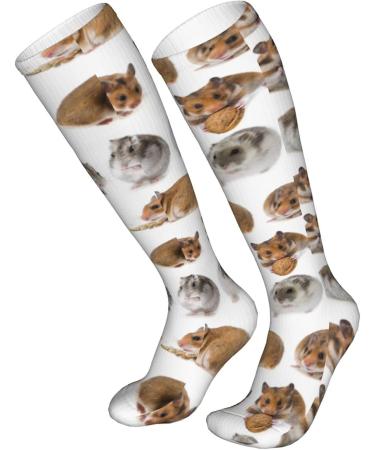Shop Hamster Compression Socks for Men & Women | 15-20 mmHg Support for Running & Cycling - Buy Online on GoSupps.com