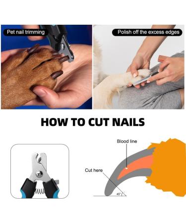 Quick Safety Sensor Pet Dog Nail Trimmers & Clipper for Large & Medium Dogs - Professional Toenail Clippers with Nail File - Buy Online on GoSupps.com