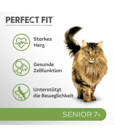 Buy PERFECT FIT Senior Dry Cat Food for Cats 7+ Years - Chicken Flavor 750g (6 Bags) - 4.5 kg Pack | Best International Shipping - Buy Online on GoSupps.com