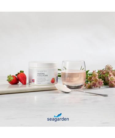 Collag ne Marin Type 1 Boire - Peptides Hydrolys s + Vitamine C Compl ment Alimentaire Go t Fraise Peau Hydrat e Articulations Souples - 150 g (30 Portions) - Buy Online on GoSupps.com