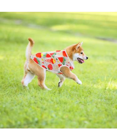 Cooling Dog Shirts for Small Dogs - 3 Pack Breathable Summer Vests for Chihuahuas Yorkies & Corgis - Buy Online on GoSupps.com