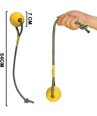 Durable Dog Toys - Flee Durafoam Ball with Rope for Small & Large Dogs | Water Swimmer Toy | International Shipping - Buy Online on GoSupps.com