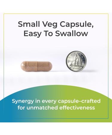 Synergy Holistics | Adrenal Synergy - Supports Energy & Mood - Stress Relief Supplement with Ashwagandha Holy Basil & Rhodiola - Non-GMO |1-2 Capsules Daily - 90 Veg Caps - Buy Online on GoSupps.com