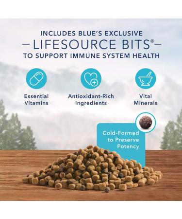 Blue Buffalo Wilderness High Protein Grain Free Natural Kitten Dry Cat Food Chicken 2.2kg bag - Medium Bag kibble Small Bag Kitten - Buy Online on GoSupps.com