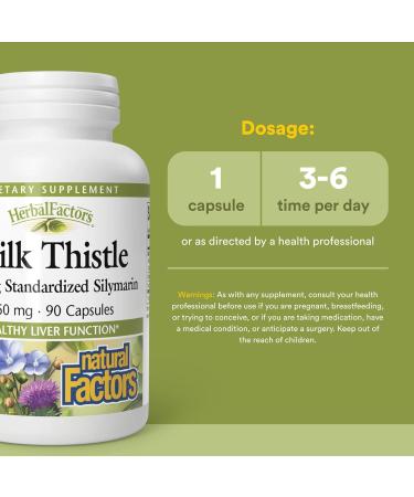 NATURAL FACTORS Milk Thistle Extract 250 Mg 90 CT 90 Count (Pack of 1) - Buy Online on GoSupps.com