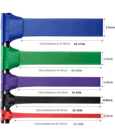 Pull Up Assistance Bands & Resistance Bands Set | Fitness Bands for Home Gym & Resistance Training - Buy Online on GoSupps.com