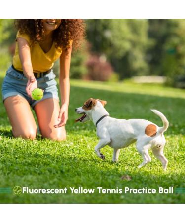 ACCURATE Durable Sport Play Tennis Cricket Dog Toy Ball with Mesh Carrying Bag Sturdy & Durable Great For Lessons Practice Throwing Machines Adults Children Exercise Pets 3 PK - Buy Online on GoSupps.com