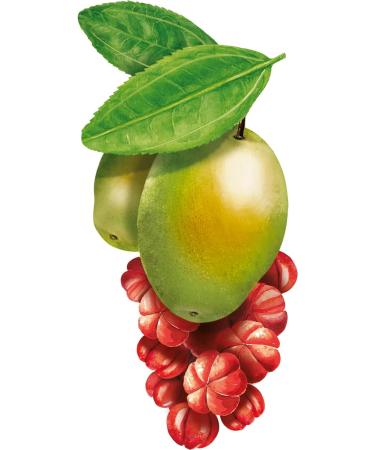 WELEDA - Solid Shampoo Volume & Shine - Gives volume - Preserves natural shine - NATRUE - 50g - Buy Online on GoSupps.com