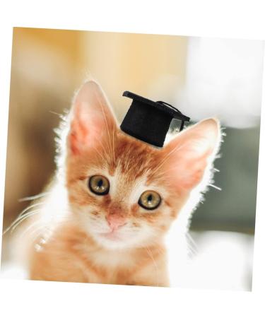 Beavorty 2-Part Set Elastic Doctor Cap & Bachelor Hat for Pets | Mini Closing Cap & Final Accessories for Dogs - Buy Online on GoSupps.com