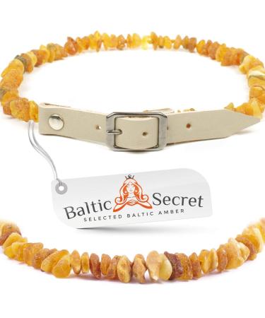 Baltic Secret Selected Baltic Amber amber chain dog amber neck band for dogs & cats with 100% leather strap made of raw Baltic amber for ticks tick protection flea collar 45-50 cm