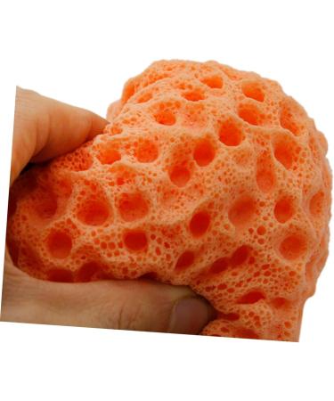 Balacoo 3pcs Konjac Exfoliating Bath Sponges - Natural Face & Body Wash Scrubber for Gentle Cleansing - Buy Online on GoSupps.com