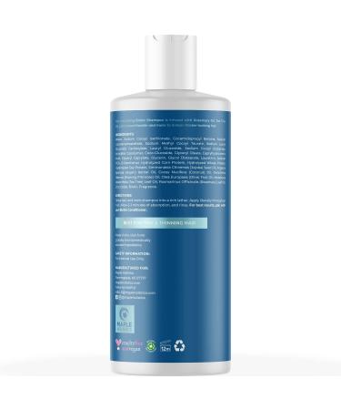 Maple Holistics Honeydew Biotin Shampoo 16 oz â€“ Nourishing Hair Growth & Moisture - Buy Online on GoSupps.com