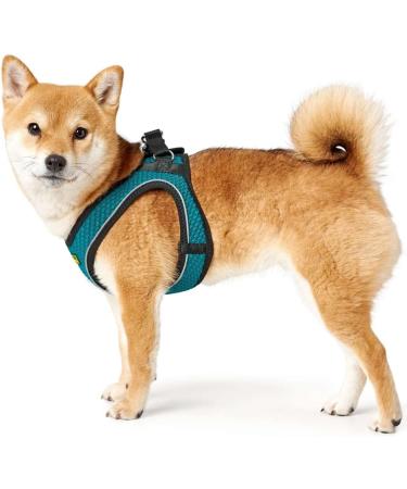Shop HUNTER HILO Comfort Harness for Small Dogs - Mesh & Reflective Turquoise - International Shipping Available - Buy Online on GoSupps.com