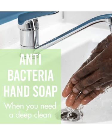 Greenerways Mint Antibacterial Hand Soap | Made in USA | Sulfate-Free, Paraben-Free | Vegan Hand Wash with Aloe Vera (16 Fl Oz, 6 Pack) - Buy Online on GoSupps.com