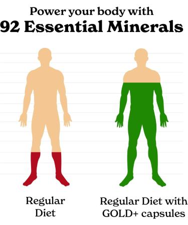 8800mg Shilajit Maca Root Ginkgo Biloba Sea Moss Ashwagandha Panax Ginseng Safed Musli & Zinc| Boost Stamina & Energy 120 Capsules| 95 + minerals| All in One Herbal Supplement for Men & Women All In One -Pack of 1 - Buy Online on GoSupps.com