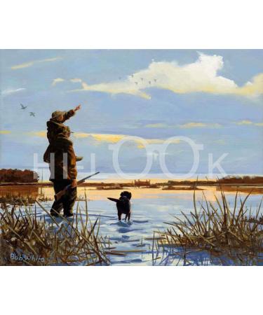 Hi-Look Microfiber Cleaning Cloth - The Start of it All