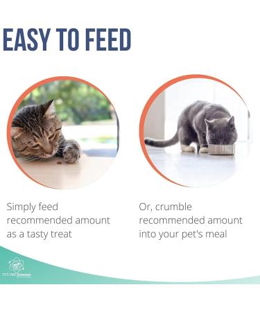 PET CARE Sciences Approx 90 Servings Cat Kidney Support Chews Feline Kidney Restore Renal Cat Treats Cats Kidney Support Supplement Urinary Tract Irritations Control for Cat - 3 Oz - Buy Online on GoSupps.com