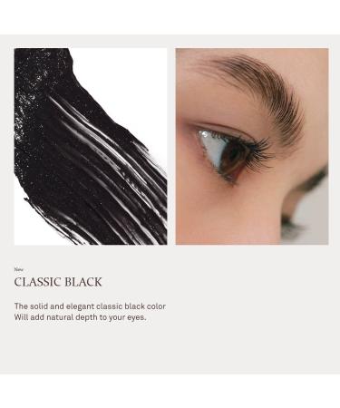 HINCE Ambience Curling Mascara - Curl Fix Black Volumizing & Lengthening Waterproof Mascara - Buy Online on GoSupps.com