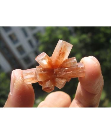 Natural Rare Aragonite Quartz Crystal Cluster Shape Rough Stone Nepheline Specimen Home Decor Gifts Crystal Cluster (Size : 10pcs) - Buy Online on GoSupps.com