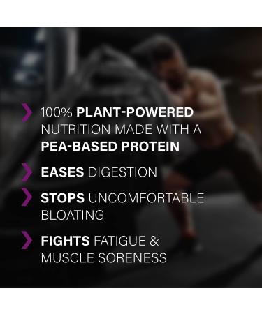 Genetic Supplements Vegan Chocolate Protein Powder - 30 Servings 1.5kg Pouch | Plant-Based Pre-Workout Supplement with BCAAs - Buy Online on GoSupps.com