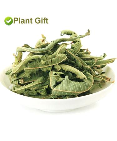 Organic Lemon Verbena Leaves 20G/0.7oz - GMO Free, Caffeine Free Herbal Tea - Buy Online on GoSupps.com