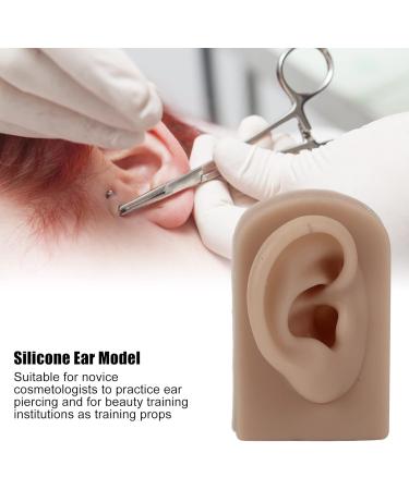 Flexible Brown Right Ear Model for Earrings Display and Acupuncture Training - Buy Online on GoSupps.com