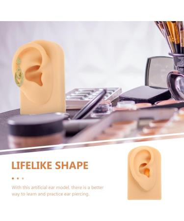 High-Quality Ear Model for Teaching and Suture Practice | Ear Piercing & Display Simulation Props - Buy Online on GoSupps.com