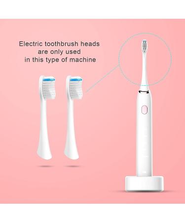 2 Pcs Electric Toothbrush Heads for BTFO 1741-02 - White - Buy Online on GoSupps.com