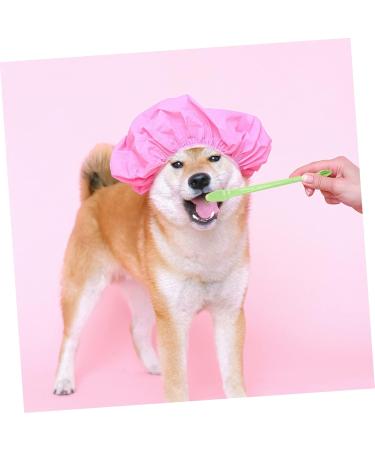 BESPORTBLE 2 Sets Pet Toothbrush Dog Chew Toothbrush Small Dog Toothbrush Dog Chew Brush Dog Toothpaste Pets Pp - Buy Online on GoSupps.com