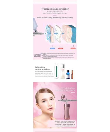 Oxygen Injection Device High-Pressure Oxygen-Assisted Nano-Spray Water Replenishment Household Spray Gun Handheld Type Water Oxygen Meter Beauty Salon Portable Gifts for Women - Buy Online on GoSupps.com