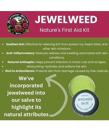 Miracle Jewelweed Salve | Natural Relief for Poison Ivy Oak Sumac & Insect Bites | Fast-Acting Itch Soother | Ideal for Outdoor Lovers | 1 oz - Buy Online on GoSupps.com