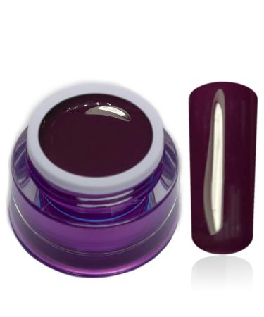 Color Gel Ottawa Purple Violet Uv Led Nail Gel Studio Quality Color Gel RM Beautynails 1 Pack (1x 5ml)