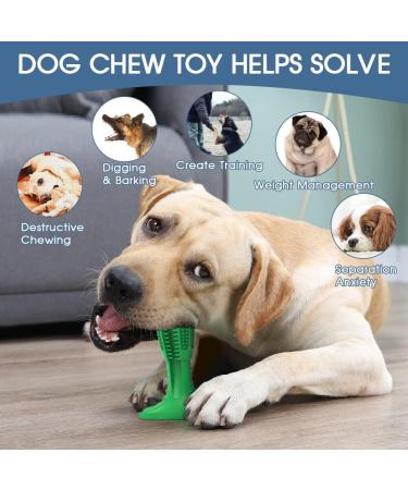 RUCACIO Dog Chew Toy - Durable Outdoor Interactive Toothbrush Toy for Medium Dogs | Dental Care & Teeth Cleaning | Puppy Birthday Gifts - A-Green - Buy Online on GoSupps.com