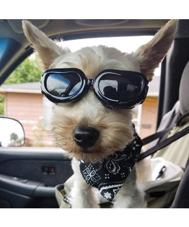PETLESO Small Breed Dog Goggles | Small Dog Sunglasses for Eye Protection | Ideal for Outdoor Riding and Driving | Black - Buy Online on GoSupps.com