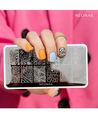 Neonail Stamping Plate 12 - Create Stunning Nail Art & Designs | Nail Stencils for French Nails | High-Quality Nail Stamp Schablone - Buy Online on GoSupps.com