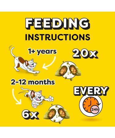 DREAMIES Cat Treats with Catnip Flavour 350g MegaTub Pack of 2 non applicable - Buy Online on GoSupps.com