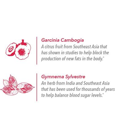 ActiveBlendz Control with Super Citrimax & Gymnema Sylvestre for Weight Management | Appetite Control & Balanced Sugar Levels | Natural Instant Fruit Beverage 24 ct - Javita - Buy Online on GoSupps.com