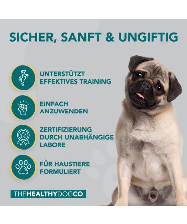 Natural Extra Bitter Spray for Dogs - Effective Anti-Chewing Defense | The Healthy Dog Co. - Safe Educational Aid for Puppies & Kittens - 150ml - Buy Online on GoSupps.com