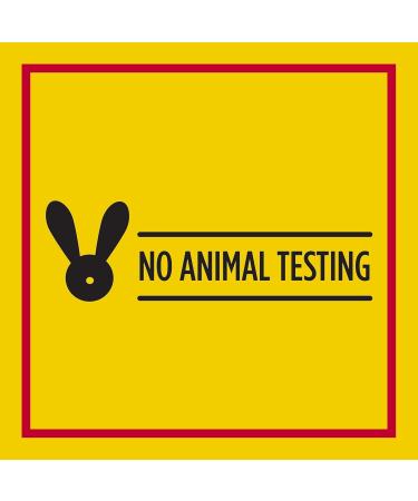 Carmex Daily Care Moisturizing Lip Balm Pack Lip Balm With Sunscreen in Fresh Cherry Strawberry and Wintergreen -0.35 Ounce (Pack of 3) 1 - Buy Online on GoSupps.com