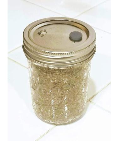 BRF PF Tek Brown Rice Flour Mushroom Substrate - Half Pint Jar