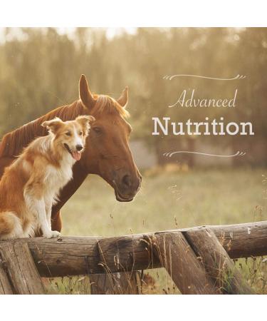 Animal Health Solutions Spunky Level II Joint Aid for Dogs - 1 Pound - Supports Joint Health and Digestion - Buy Online on GoSupps.com