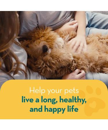 The Healthy Dog Co Joint Supplements for Dogs with Turmeric - 100ml - Buy Online on GoSupps.com