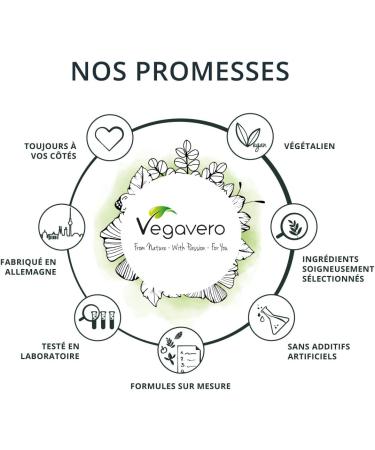 Harpagophytum Plus Vegavero | With Devil's Claw Ginger & White Willow | No Additives | Joint Bread | With Harpagosides Gingerols & Salicin | 120 Capsules | VEGAN - Buy Online on GoSupps.com