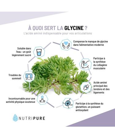 Nutripure | Pack Tendinites | Peptan B 2000 Daltons | Pour les personnes ayant des tendinites passag res ou chroniques | Pure Glycine | Active Curcumine | Made in France - Buy Online on GoSupps.com